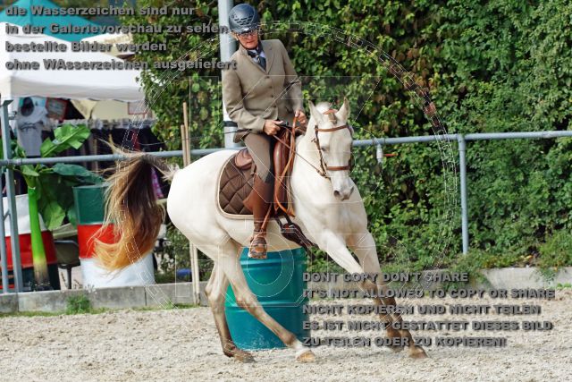 s_DSC05040 TASSE.jpg